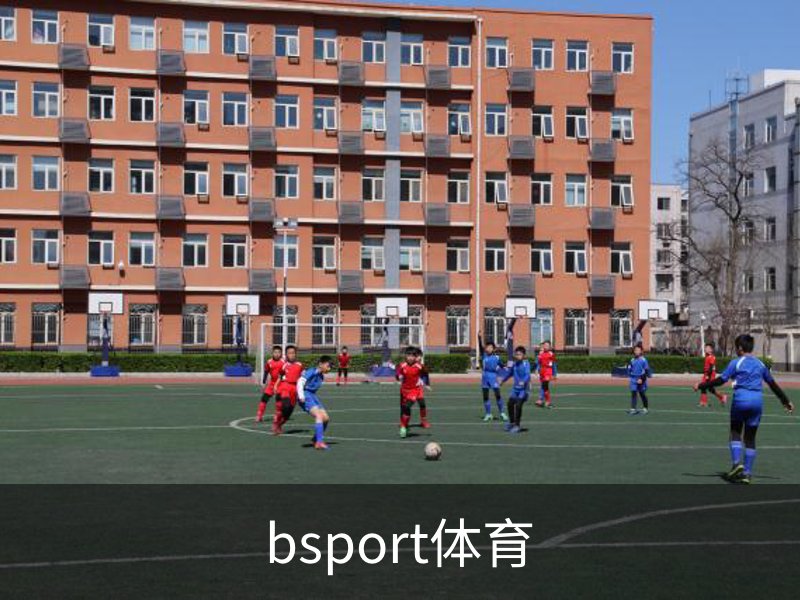 bsport体育简介